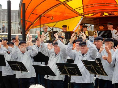 sail den helder 2023 17 20230630 1683937664