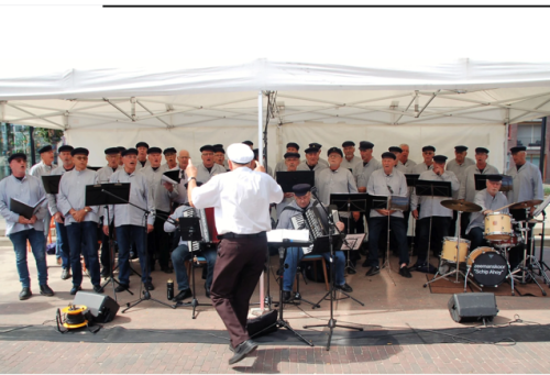 shantyfestival ede 2022 2 20220807 2067411931