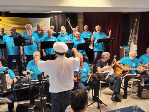 zonnebloem nijmegen 2023 3 20230917 1842547130