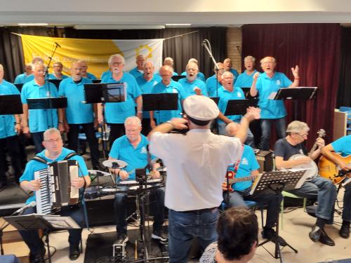 zonnebloem nijmegen 2023 4 20230917 1555355875